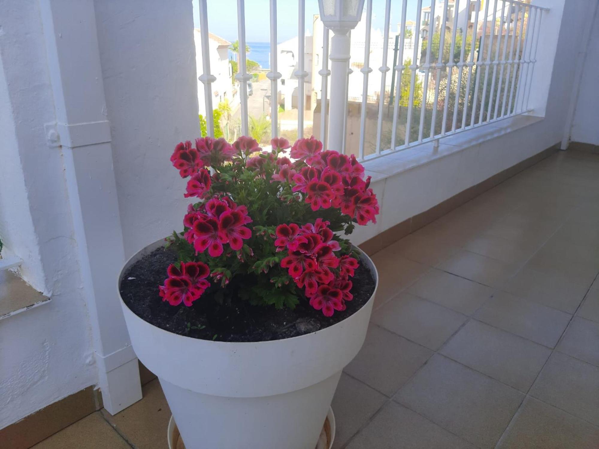 Las Gemelas De Terreros 1 San Juan de los Terreros Exterior foto